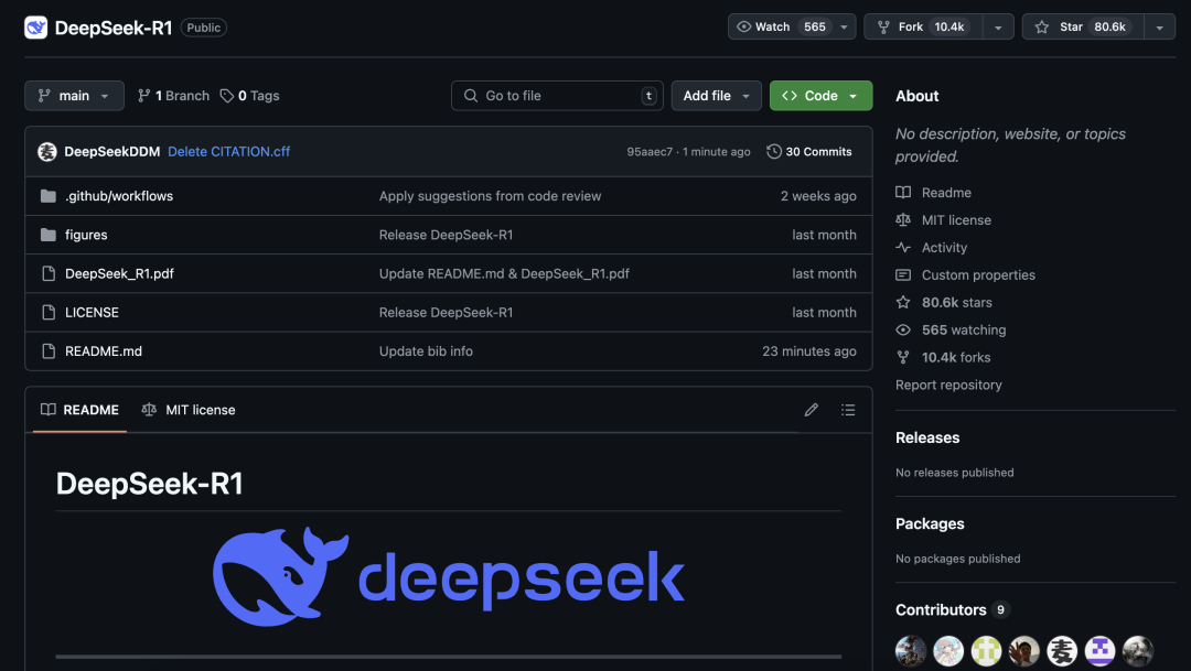 DeepSeek满血版部署预览