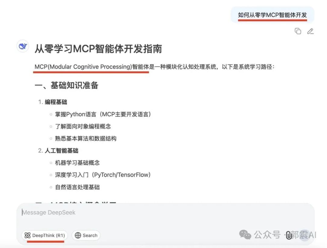 DeepSeek减少胡说检索验证操作截图 01预览